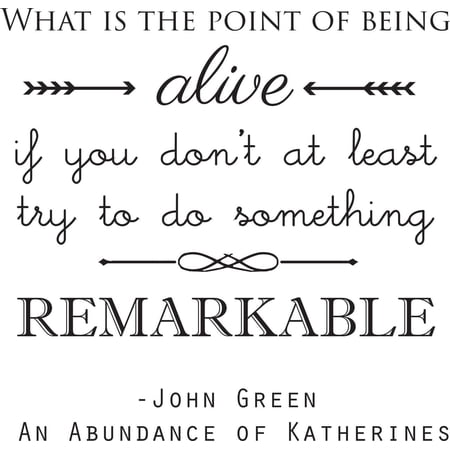 What is the point of being alive' - John Green - Saying Vinyl Wall Decal Quote Art - Craft Room Sticker - 20"x20" [Y5]