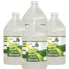 GONE FOR GOOD - Professional Enzymatic Urine, Stain & Odor Remover