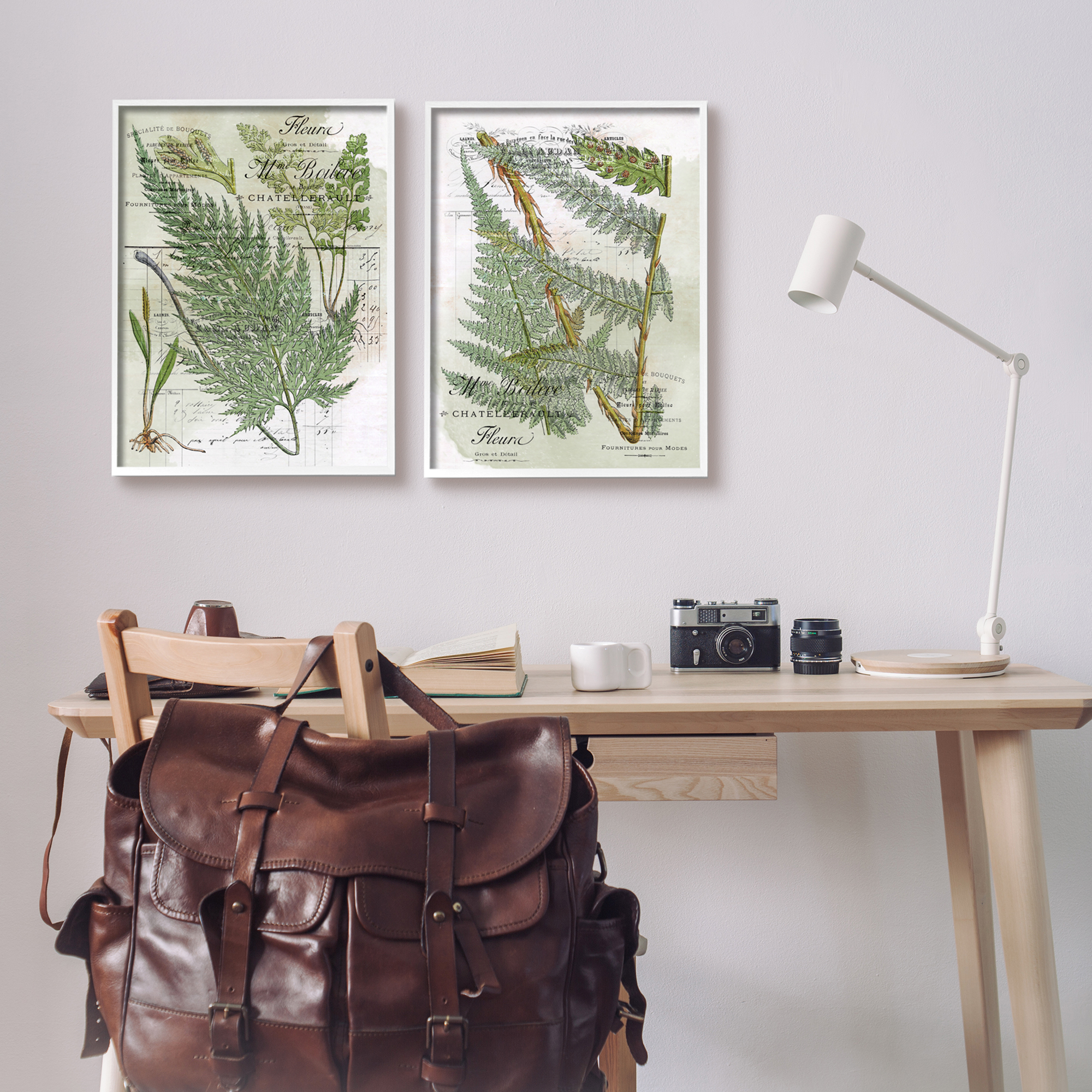 Stupell Woodland Fern Botanical Latin Study Botanical & Floral Painting White Framed Art Print Wall Art, Set of 2