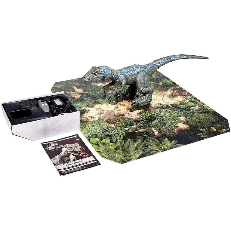 Alpha training on sale raptor blue