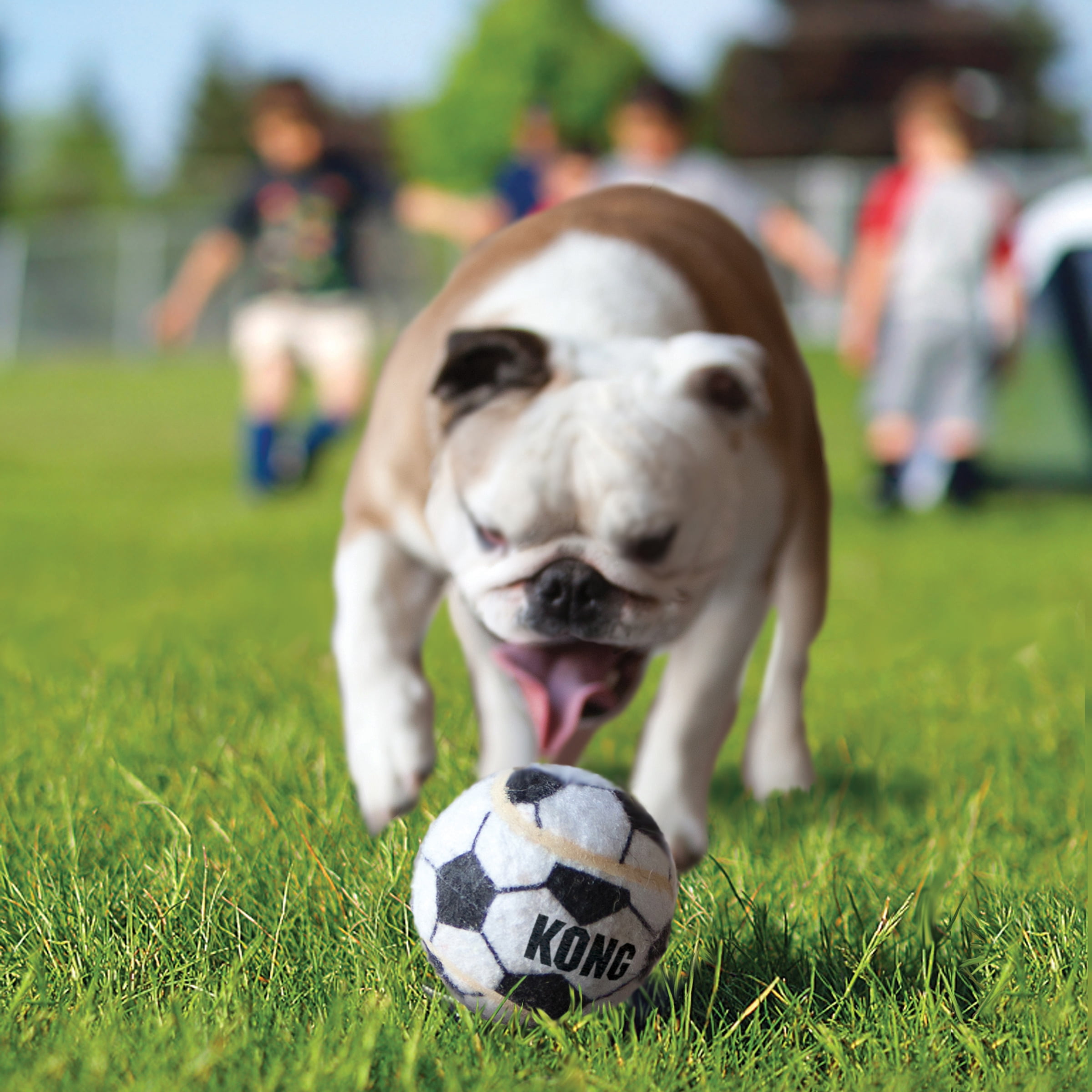 KONGÂ® Sport Balls, Extra Thick Dog Toys, 3 Count