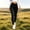 Black, variant on JOANKDMI High Waisted Pull-On Jeggings for Women Stretch Denim Skinny Jeans Tummy Control Elastic Waist Slim Fit Casual Pants with Pockets for Everyday Work Office Wear