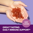 thumbnail image 5 of Havasu Black Elderberry Gummies with Zinc and Vitamin C, Immune Support Gummies, 60 Ct, 5 of 10