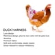 thumbnail image 3 of Chaleco Para Aves De Corral Para Mascotas, Lindo Arnés De Pato Cálido Con Dobladillo Con Volantes Y Banda Elástica Para Pato Para Mascota Para Gallo Para Gallina Para Exteriores, 3 of 7