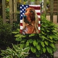 thumbnail image 2 of Carolines Treasures LH9541GF Irish SetterPatriotic Flag Garden Flag Garden Size multicolor, 2 of 5