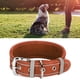 thumbnail image 1 of Collar ajustable para perros, collar ajustable para perros, collar transpirable y transpirable, collar para perros medianos y grandes, experiencia incomparable, 1 of 8