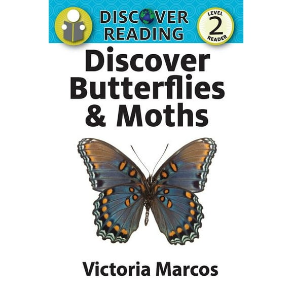 Discover Butterflies & Moths, (Paperback)