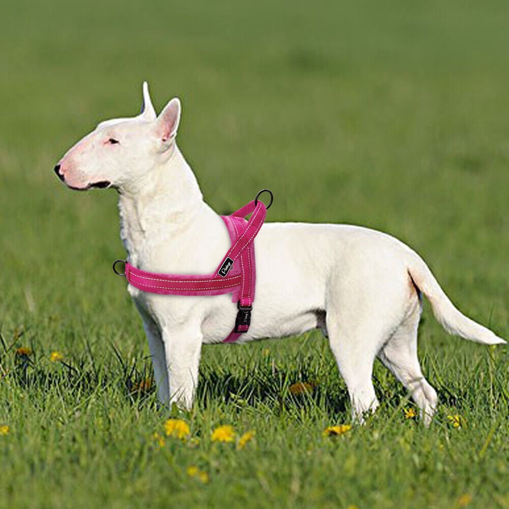 Beirui No Pull Nylon Dog Harness Reflective Soft Comfortable Walking Strap Vest for Small Medium Large Dogs Adjustable