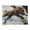 500 Pieces, variant on 500-Piece Wooden Jigsaw Puzzle for Adults - Leopard Leap Sky Tree Branch , Interlocking Pieces with Guide Letters, Holiday Gift & Home Decor