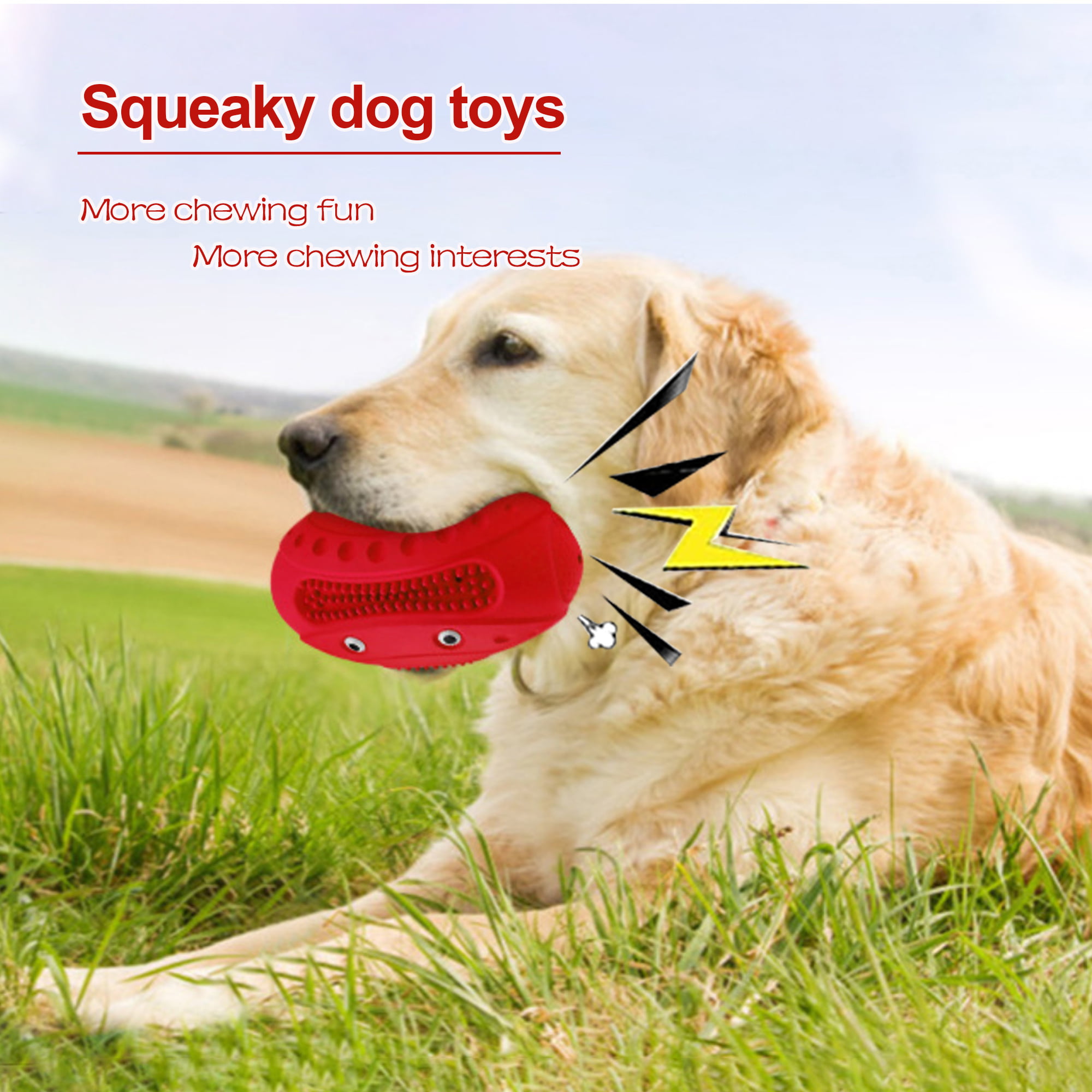 Valr Squeaky Dog Toys for Aggressive Chewers Rubber Interactive Puppy Ball  with Squeaker Almost Indestructible and Durable Pet Chew Toy for Medium and