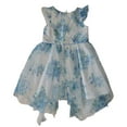 thumbnail image 2 of Rare Editions Baby/Toddler Occasion Lined Lightweight Dress (Blue Floral, 2T), 2 of 2