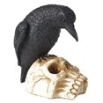 thumbnail image 1 of Cuervo Negro De Halloween, Esqueleto Realista, Adorno De Cuervo, Accesorio De Casa Embrujada Para Decoración De Fiesta Advancent HA037494-00, 1 of 6