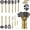 1. With Utensils Holder, variant on Gold Kitchen Utensils Set, Kyraton 38 Pieces Non-Stick Silicone Cooking Utensils Set, Spoon Spatula Set with Sturdy Stainless Steel Utensil Holder, Dishwasher Safe