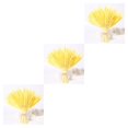 thumbnail image 4 of Injueey 100 Pcs Real Ear Flower Dried Wedding Flowers Decoration Party Type1, 4 of 6