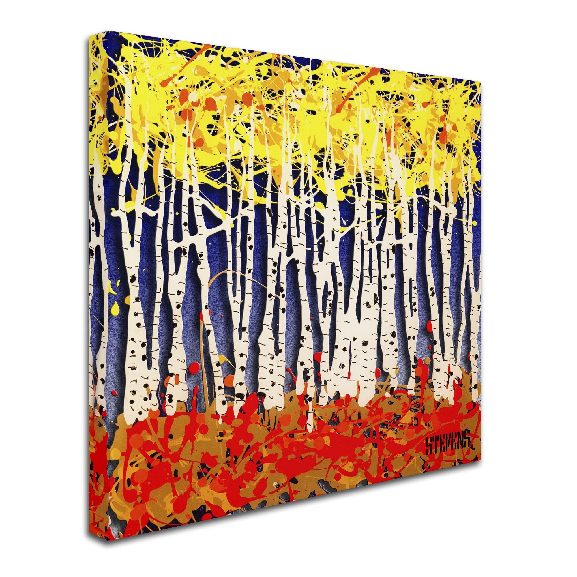 Trademark Fine Art Roderick Stevens 'White Aspens' 24 x 24 (RS994-C2424GG)