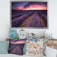 thumbnail image 3 of Designart 'Dramatic Clouds and Sunrise Over Lavender Field IX' Farmhouse Framed Art Print, 3 of 4
