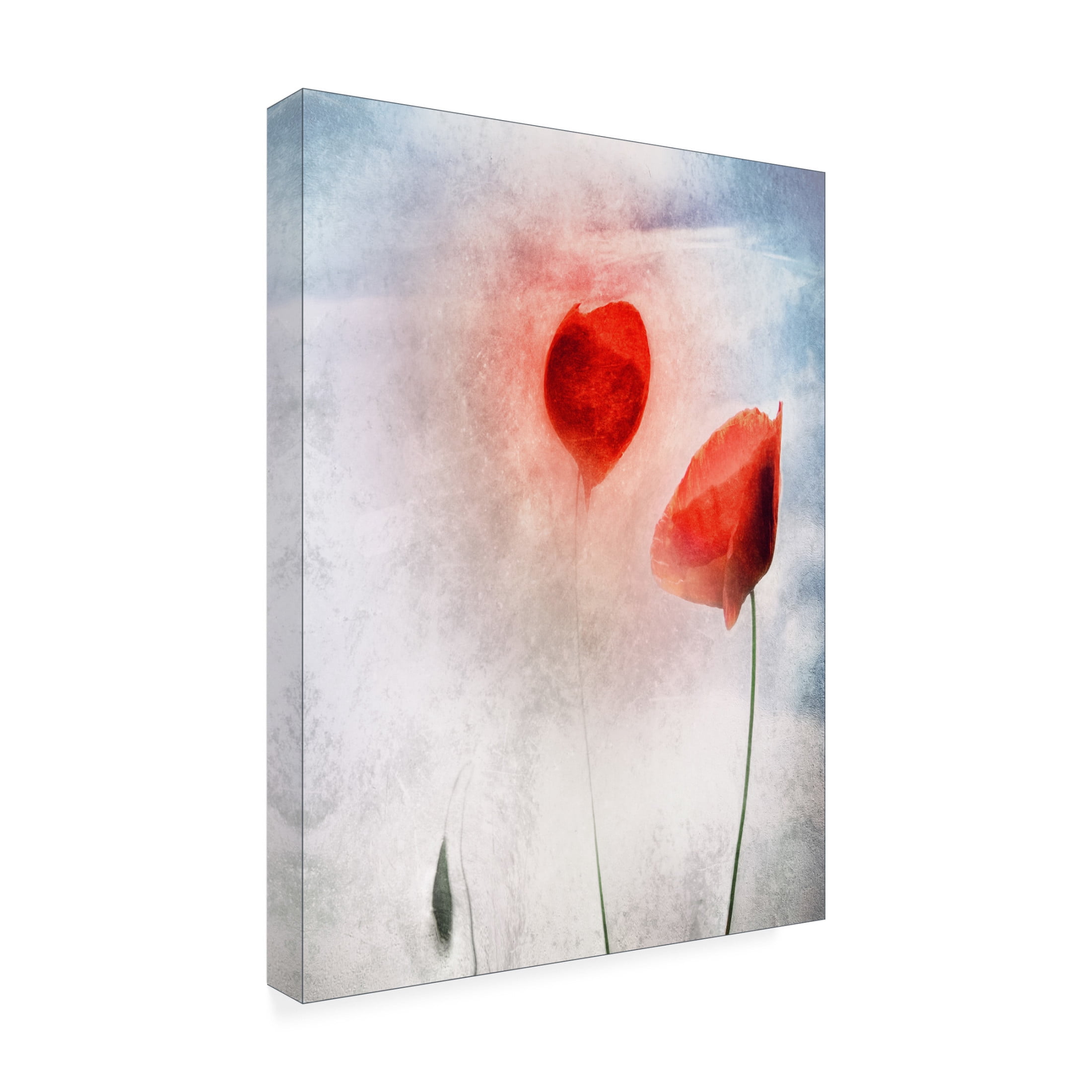 Canvas Wall Art - Gilbert Claes 'In Flanders Fields' Wall Art for Living Room, Bedroom, or Office D?cor by Trademark Fine Art - 35 x 47 Inches