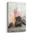 thumbnail image 2 of Epic Art 'Crystal and Fossil' by Elena Ray, Acrylic Glass Wall Art, 16"x24", 2 of 8