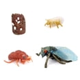 thumbnail image 1 of pitrice 1 Set Spade Worm Model Premium Plastic Material Meaningful Insect Figurines Early Educational Growing Models for School Project cicada type2, 1 of 6