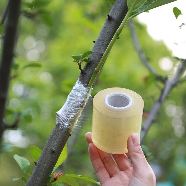 Cinta de injerto para árboles frutales, 2 piezas de película de floristería estirable, 2 colores con varias elasticidades, cinta de reparación de plantas en ciernes