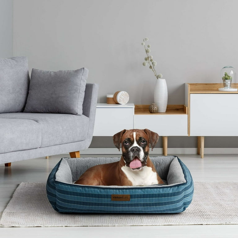 pack) Vibrant Life Bolster Dog Bed, Blue, Machine Washable