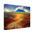 thumbnail image 2 of Chris Vest 'Golden Road II' Canvas Art, 2 of 4