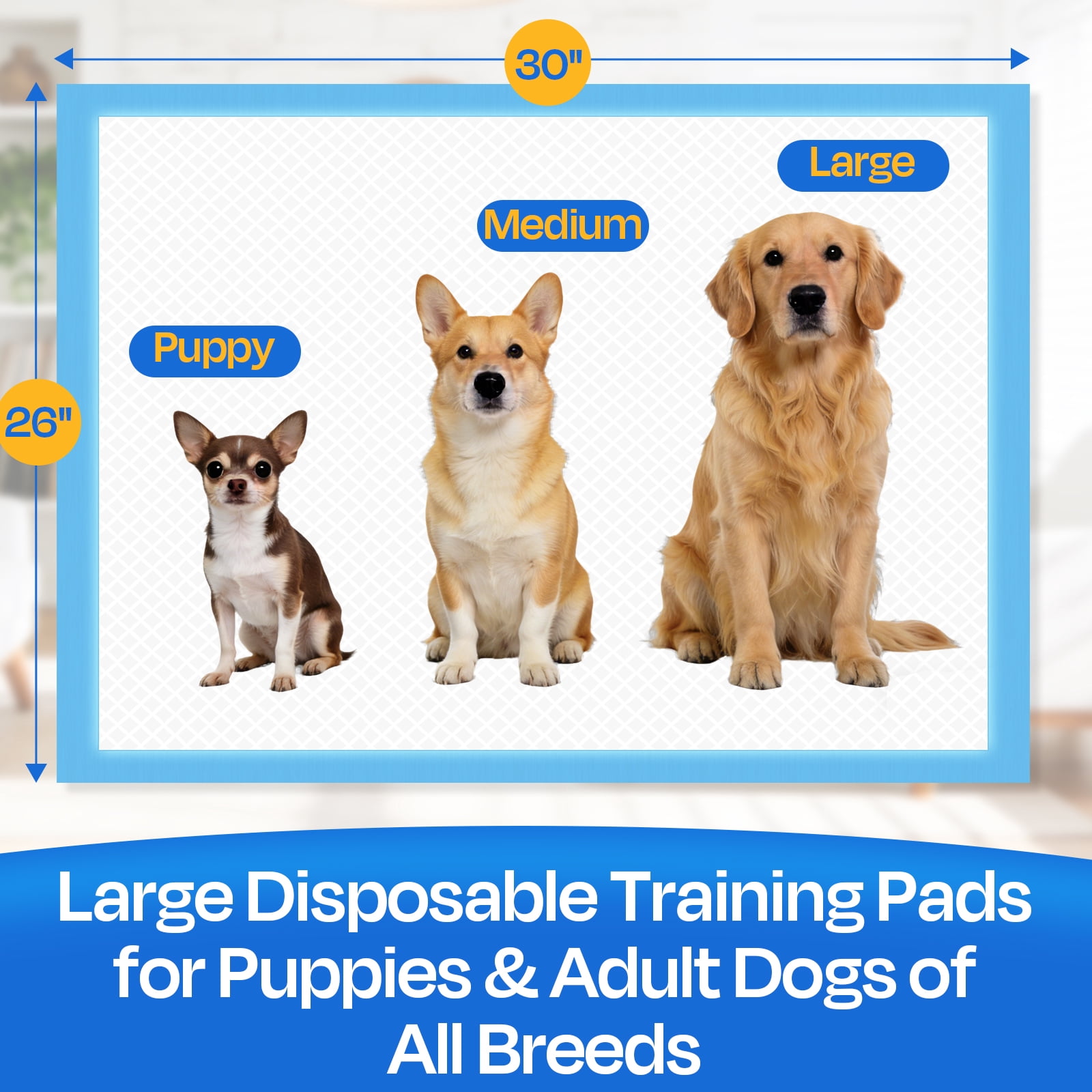 PETRIBE Large Puppy Pads, 30"×26", 75 Count, Super Absorbent Pee Pads for Large Dogs with Leak-Proof Design