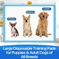 thumbnail image 2 of PETRIBE Large Puppy Pads, 30"×26", 75 Count, Super Absorbent Pee Pads for Large Dogs with Leak-Proof Design, 2 of 6
