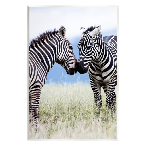 Stupell Industries Heartwarming Zebras Kissing in Field Animal Wildlife Photograph Unframed Art Print Wall Art, Design by Danita Delimont