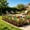 A, variant on Iron Garden Fence Barrier - Pet Proof Digging Fence for Dogs Cats Rabbits - Rustproof Metal Landscape Border with Ground Spikes - Outdoor Yard Lawn Decorative Enclosure Panels for Flower Beds