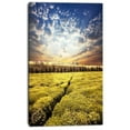 thumbnail image 2 of Tea Plantation under Cloudy Sky - Landscape Wall Art on Canvas, 2 of 3