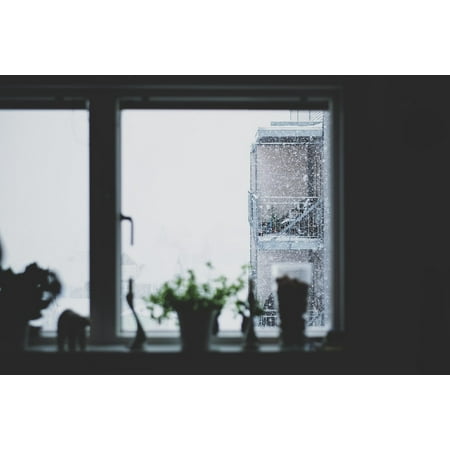 - LAMINATED POSTER Blur Window Dark Flower Black And White Glass Poster Print 24 x 36