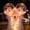 A, variant on Led Light Up Bobo Balloons with Rose Bouquet Glow Balloons Wedding Transparent Light Ball Set Glow Bubble Balloons with String Lights for Halloween Christmas Day Party Decor Diy Gifts Girls Women