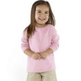 thumbnail image 2 of 3302 Fine Jersey Toddler Long Sleeve T-Shirt, Pink, 2T, 2 of 2