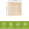 thumbnail image 4 of Disposable Plate Square Paper Plate 60 pieces 20.3cmx20.3cm Durable Disposable Tableware Natural Sugarcane Bagasse Biodegradable and Compostable Plate For Parties, Barbecues, Birthdays, 4 of 5