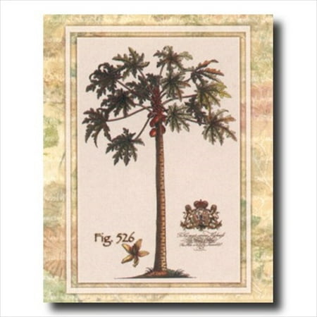 Fig Art - Tropical Palm Tree Fig 526 Wall Picture Art Print