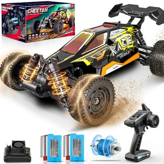 Hosim 1:10 Scale High-Speed RC Monster Truck, Off-Road 48+KM/H