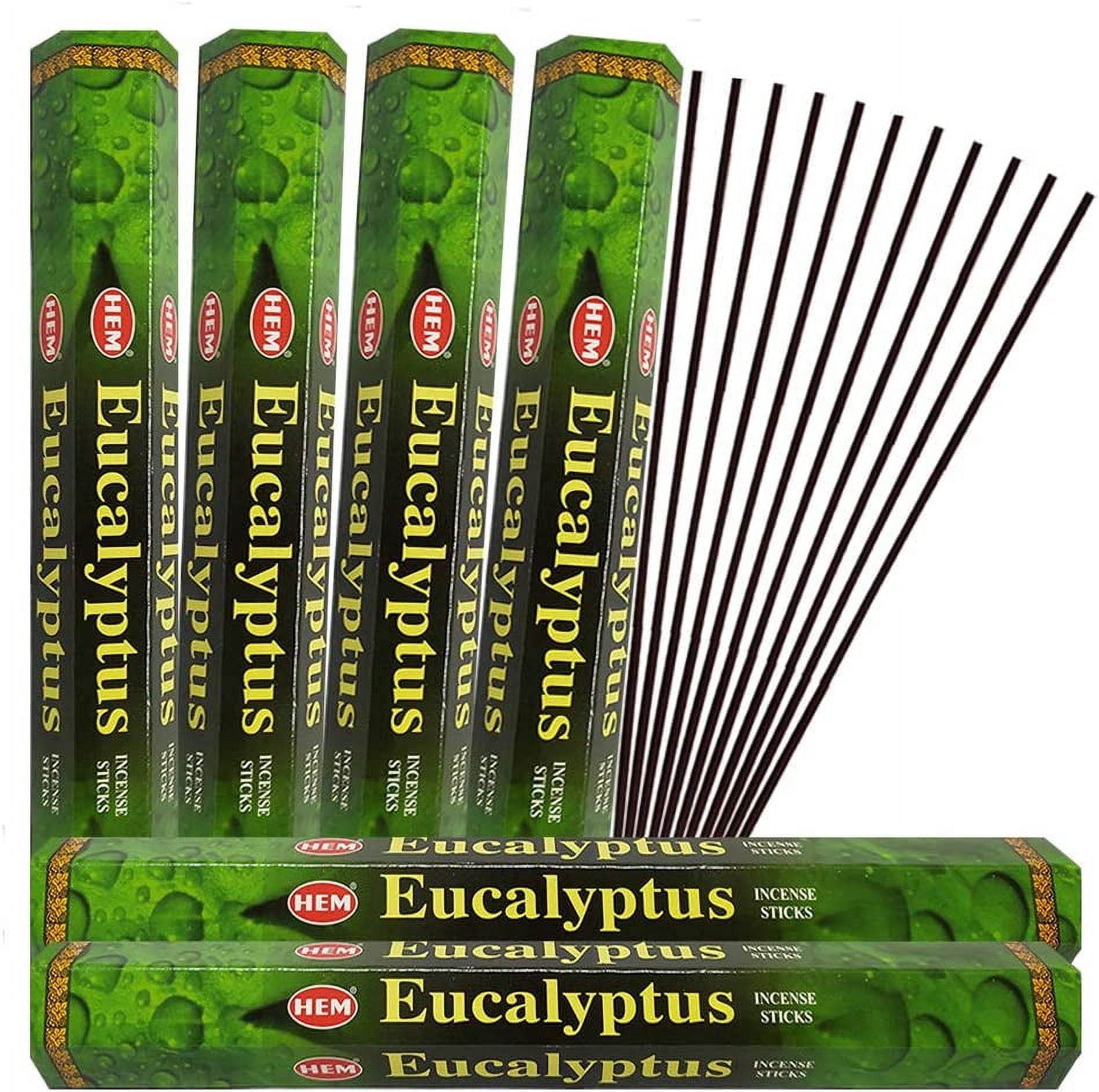 Eucalyptus Incense Sticks and Incense Stick Holder Bundle Insence Insense Hem Incense Sticks