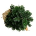 thumbnail image 2 of Kurt Adler 18-Inch Mini Pine Tree, 2 of 2