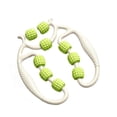 thumbnail image 1 of de pierna Roller Hommasta de 360 ​​grados Rodillo de relajación muscular 9 ruedas Herramienta de de tejido profundo para ejercicio Verde, 1 of 8