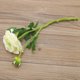 thumbnail image 4 of Ramo falso de simulación, ramo de flores artificiales, decoración de boda, Camelia Artificial, rendimiento inigualable, 4 of 8