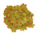 thumbnail image 2 of 100 unids/bolsa Hojas de arce artificiales para Acción de Gracias hoja de otoño decoración de mesa para fiesta de boda verde, 2 of 14