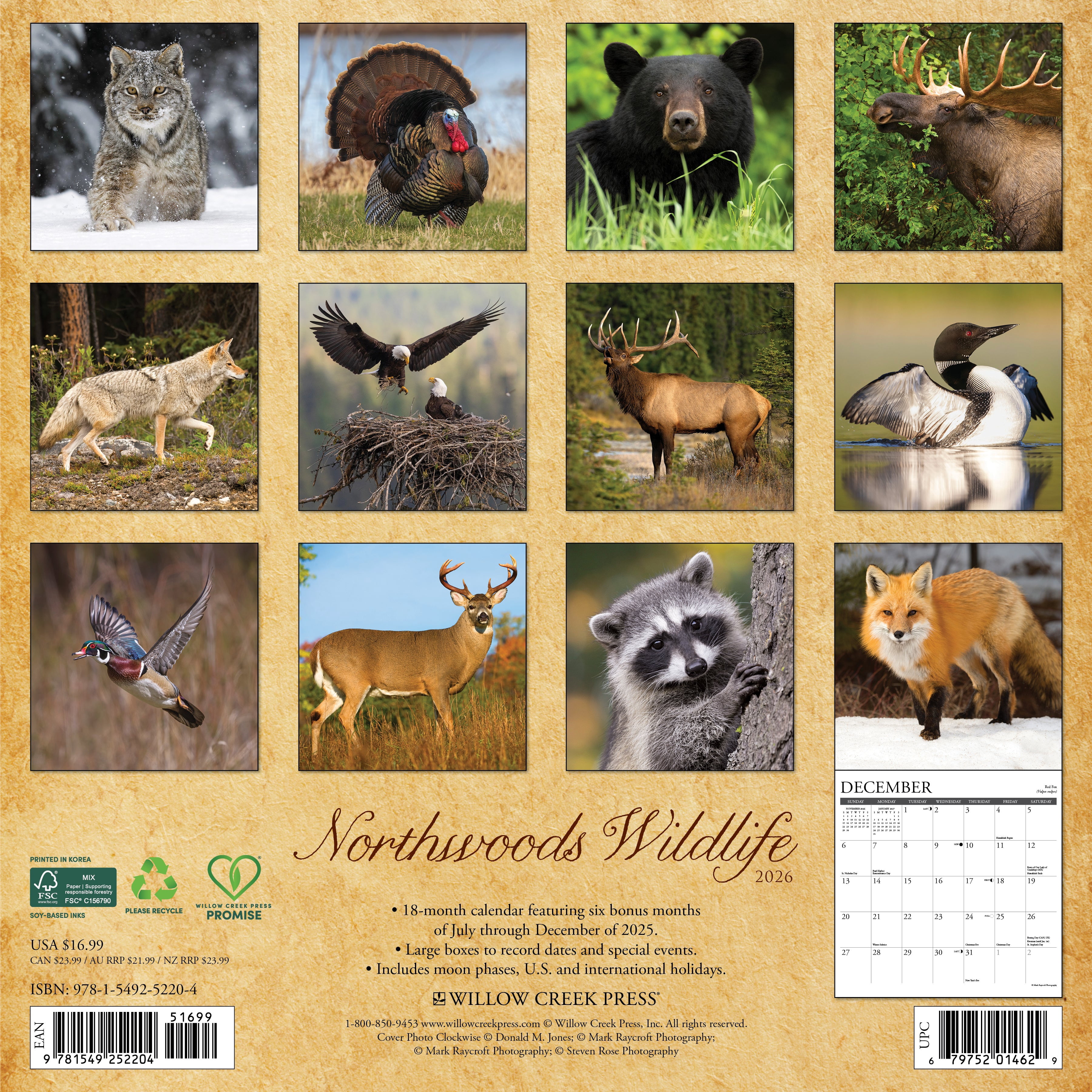 Northwoods Wildlife 2026 Wall Calendar, (Paperback)
