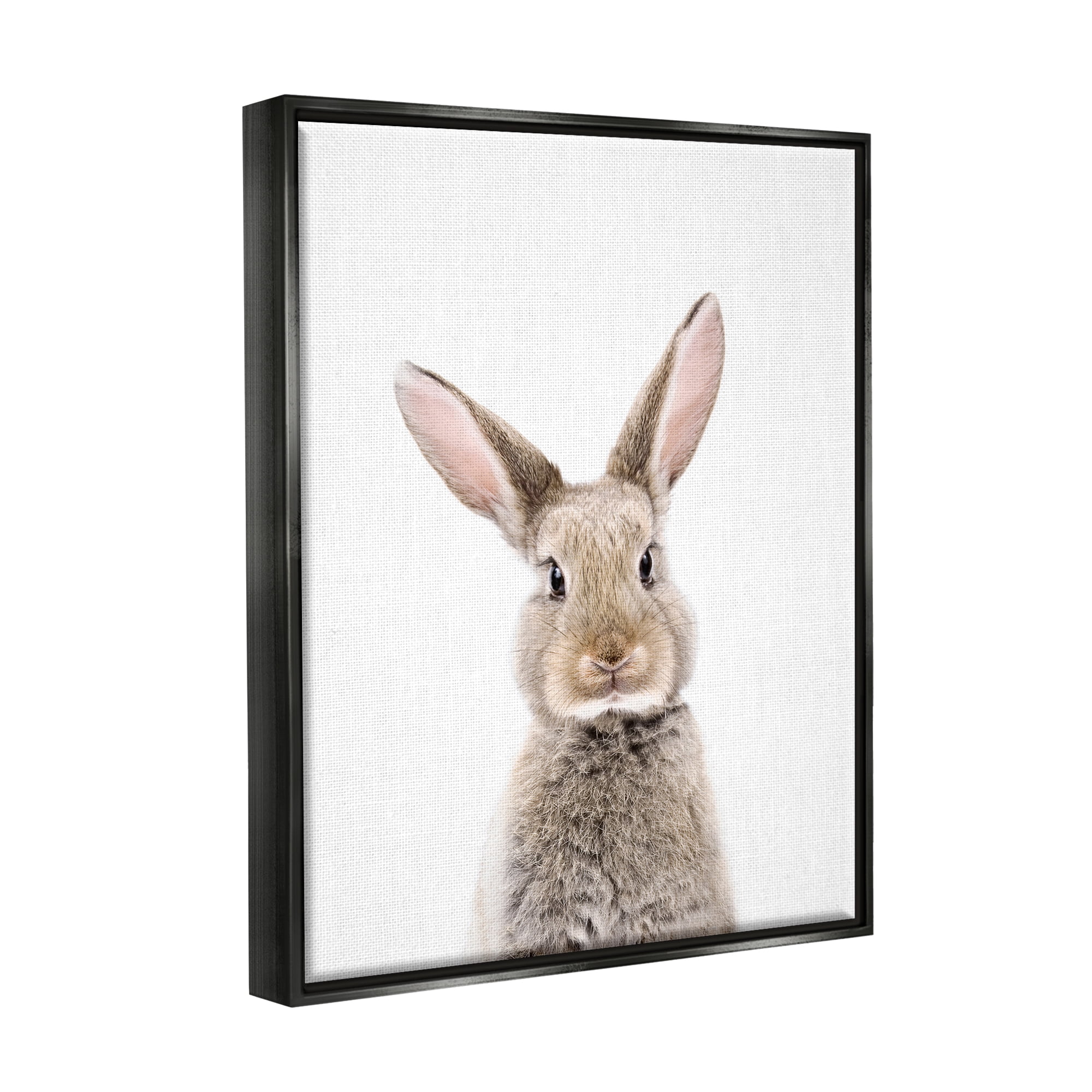 Stupell Industries Rabbit Face Portrait Animals & Insects Painting Black Floater Framed Art Print Wall Art, 17 x 21