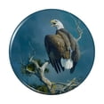 thumbnail image 1 of Bald Eagle Nest Raptor Pinback Button Pin, 1 of 5