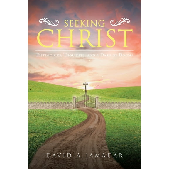 Seeking Christ: Testimonies, Thoughts, and a Dash of Dogma, (Paperback)