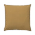 thumbnail image 1 of Ahgly Company Outdoor Square Contemporary Throw Pillow, 18 inch by 18 inch, 1 of 5