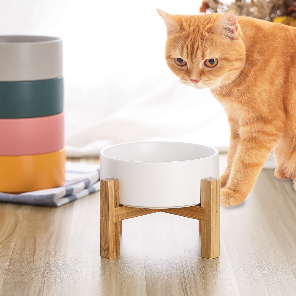 Lionwei Elevated Ceramic Cat and Dog Bowl photo 4
