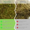 thumbnail image 5 of Halatool 1.1LB Natural Sphagnum Moss for Reptiles- 25QT Green Live Moss for Terrarium Plants Long Fiber Reptile Moss for Leopard Gecko Snake Hamsters Tortoises Frogs Lizards Salamanders, 5 of 7