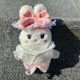 thumbnail image 3 of KPOP MINIDLE Miyeon Soyeon YUQI Figura de dibujos animados Muñeca de peluche MINNIE Shuhua Juguetes de peluche para fanáticos Regalos de cumpleaños para fiestas de bodas, 3 of 5